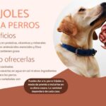 ¿Pueden comer ajwain los perros?