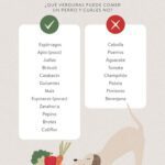 ¿Pueden comer aliño ranchero los perros?