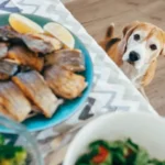 ¿Pueden comer arenque atlántico en escabeche los perros?