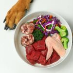 ¿pueden comer carne de yak los perros?