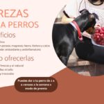 ¿Pueden comer cerezas cornalinas los perros?