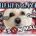 ¿Pueden comer mollejas de pavo los perros?
