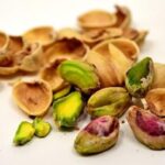 ¿Pueden comer pistachos los perros?