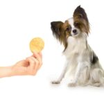 ¿Pueden comer poppadoms los perros?