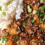 ¿Pueden comer salsa teriyaki los perros?