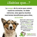 ¿Pueden comer sangre de ganado los perros?